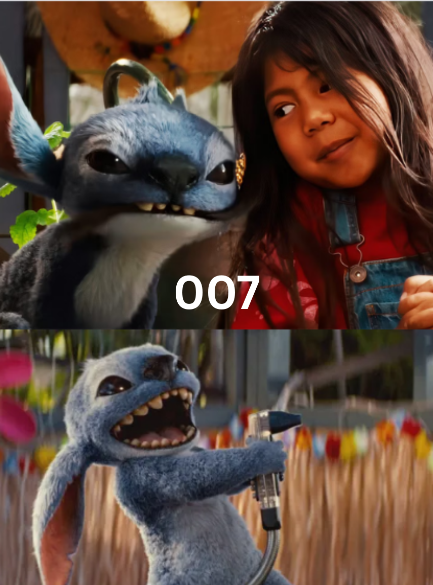 Tags de Identificación